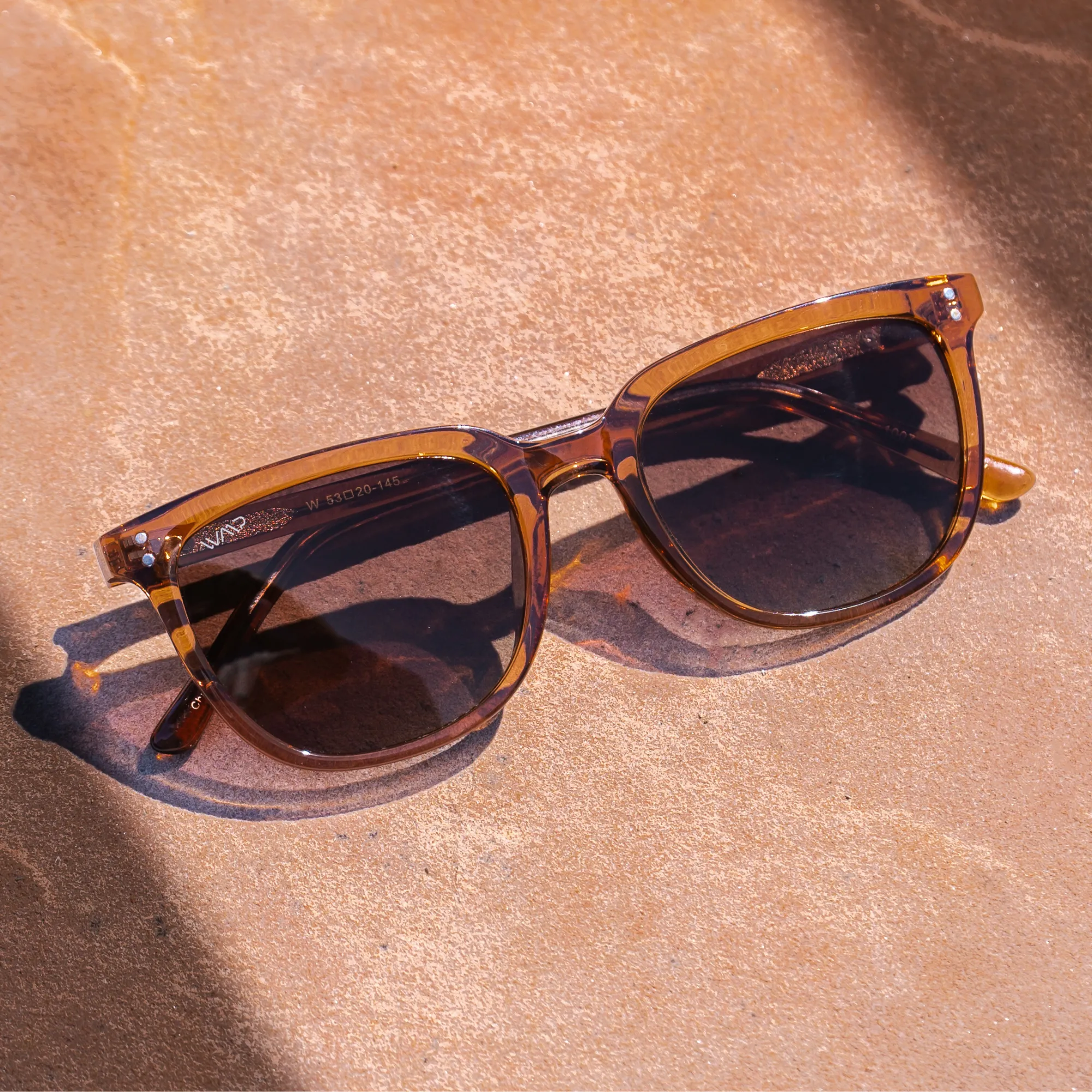 ABNER Unisex Polarized Sunglasses in Crystal Brown by WMP Eyewear