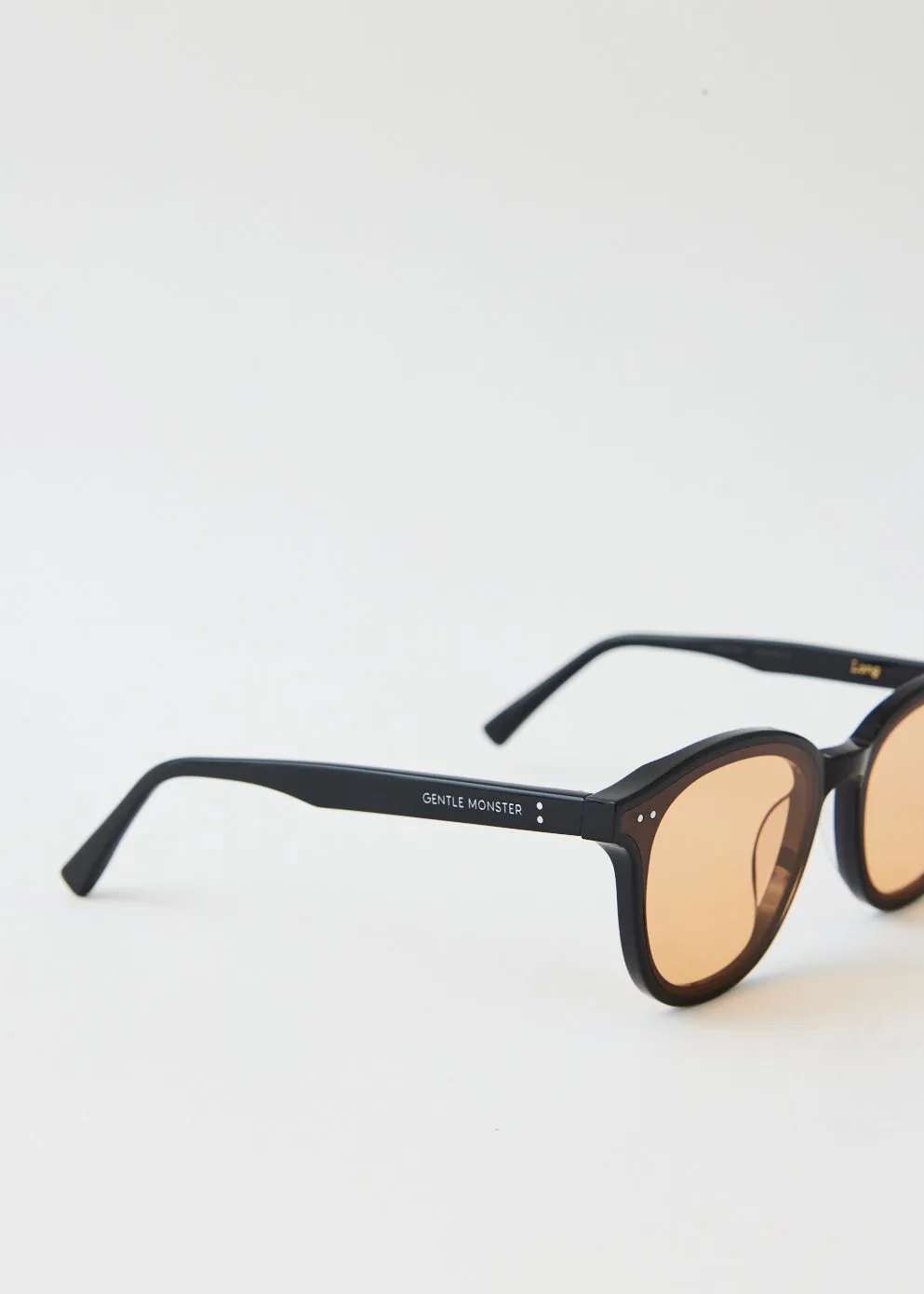 Lang 01(OR) Sunglasses