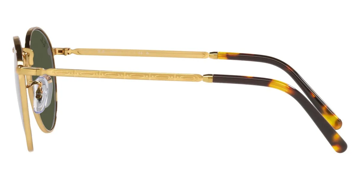 Ray-Ban® New Round RB3637