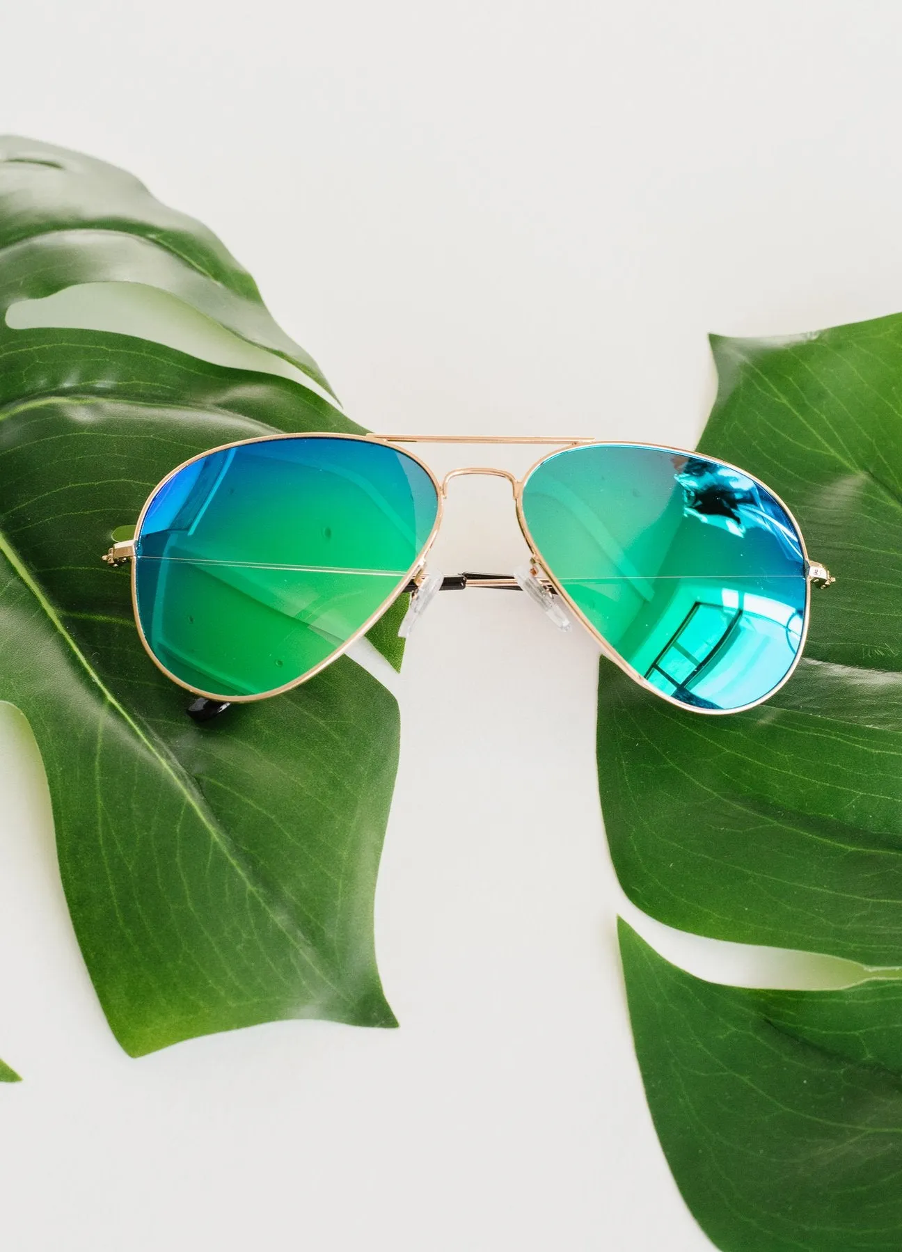 See Life Through Polarized Lenses