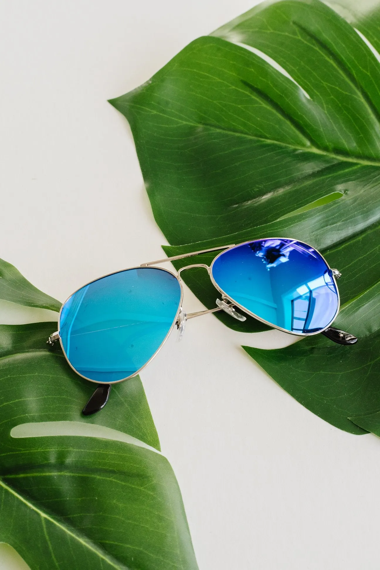 See Life Through Polarized Lenses