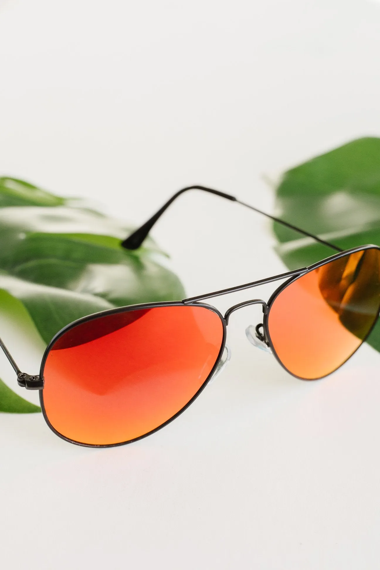 See Life Through Polarized Lenses