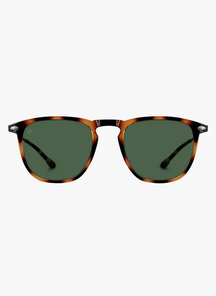 Sunglasses Dino Nooz Tortoise